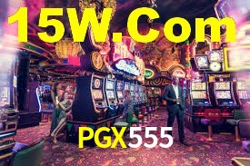 Premium Interface PGX555