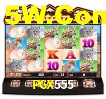 Instant EasyPaisa PGX555